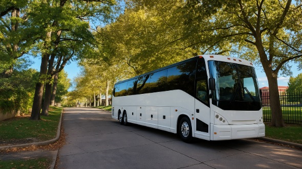 saint paul wedding transportation